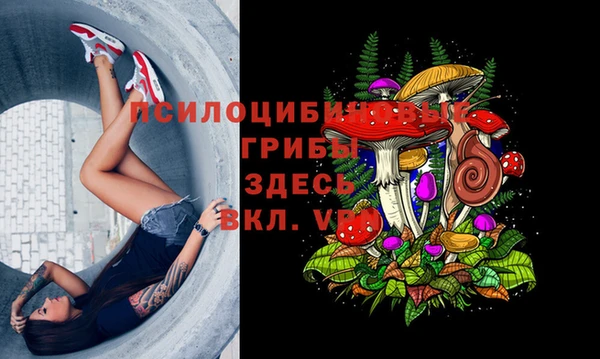 бутик Новозыбков