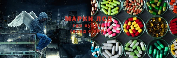 спиды Новокубанск