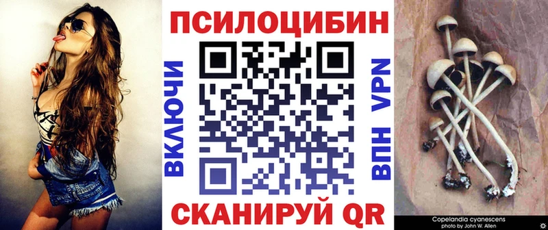 hydra   магазин  наркотиков  Калининск  Псилоцибиновые грибы Psilocybe 
